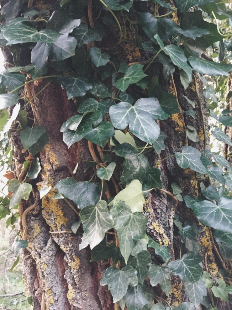 Processed with VSCO with a7 preset