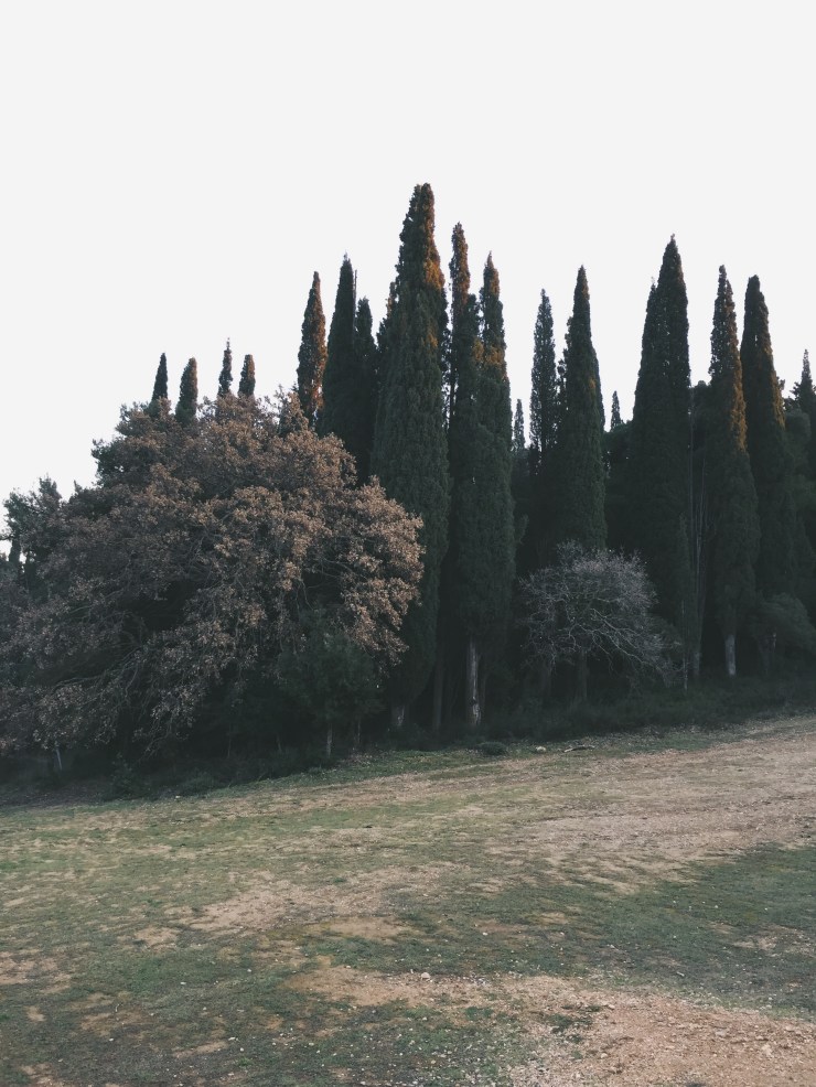 Processed with VSCO with a7 preset