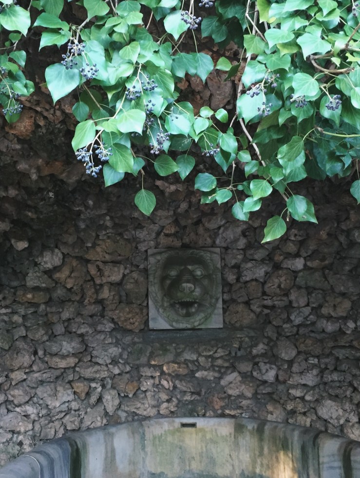 Processed with VSCO with a7 preset