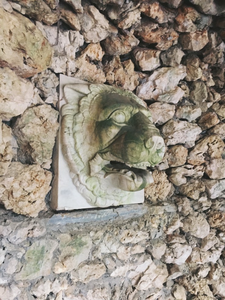 Processed with VSCO with a7 preset