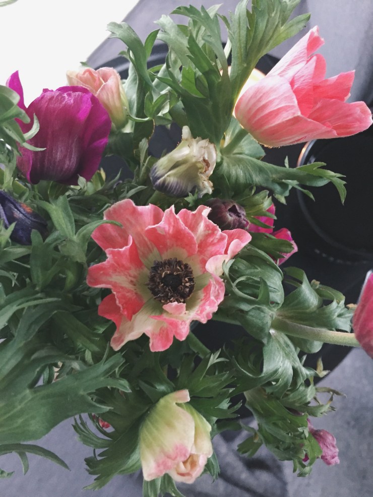 Processed with VSCO with a7 preset