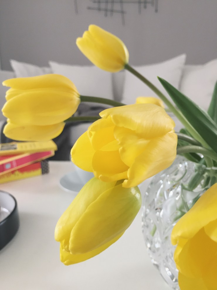 Processed with VSCO with a7 preset