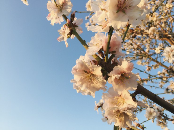 Processed with VSCO with a7 preset