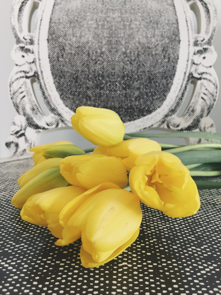 Processed with VSCO with a7 preset