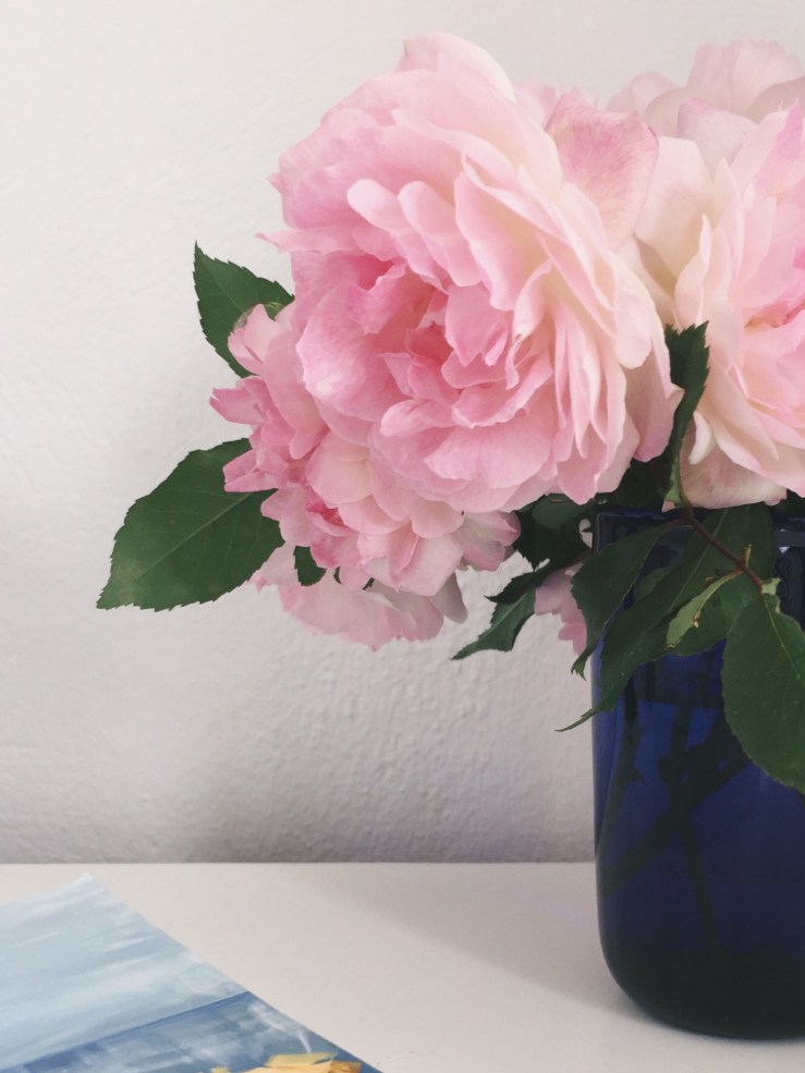 Processed with VSCO with a7 preset