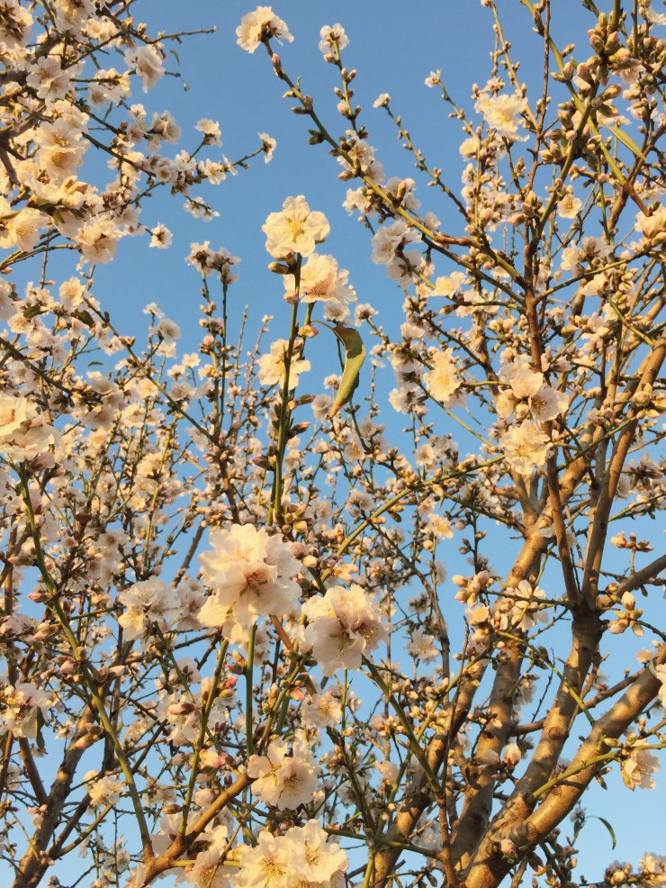 Processed with VSCO with a7 preset