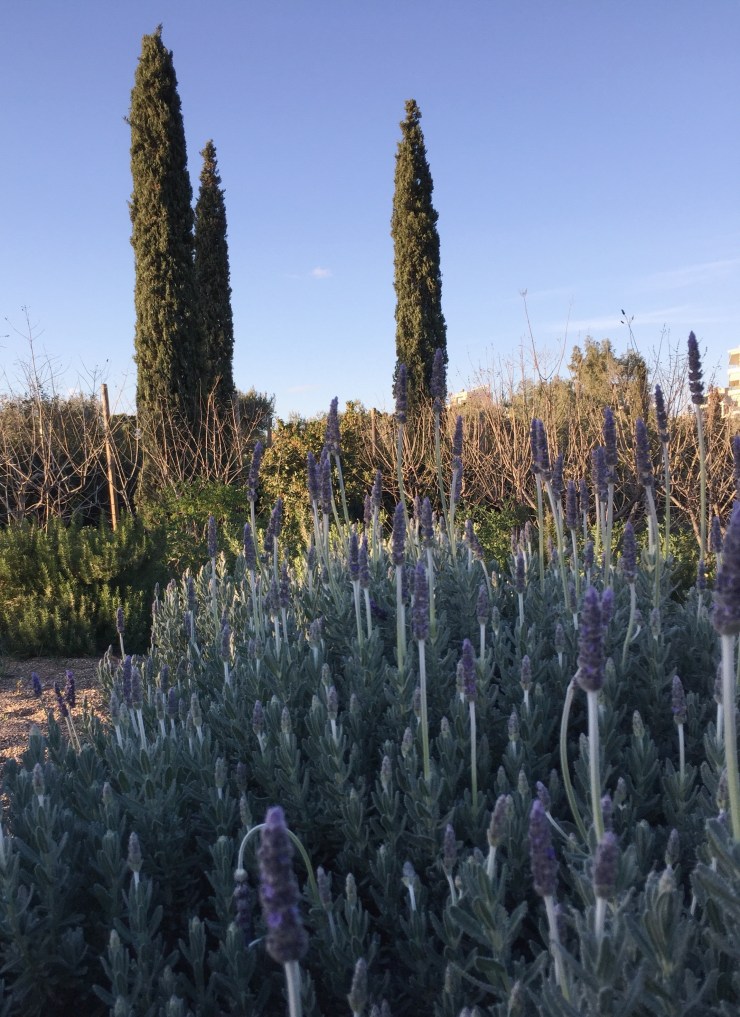 Processed with VSCO with a7 preset