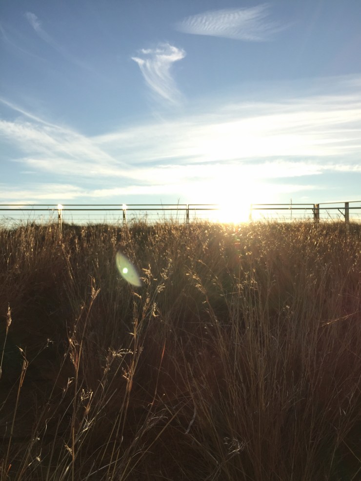 Processed with VSCO with a7 preset