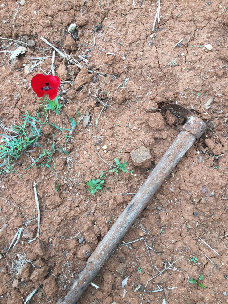 Processed with VSCO with a7 preset