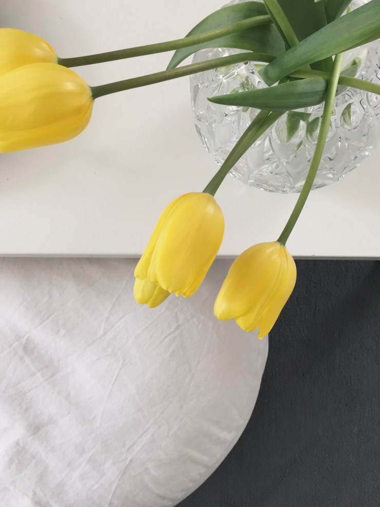 Processed with VSCO with a7 preset