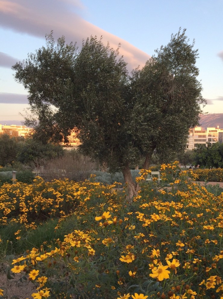 928A445B-E27B-4FF0-AEF6-820A6A3FF1B6