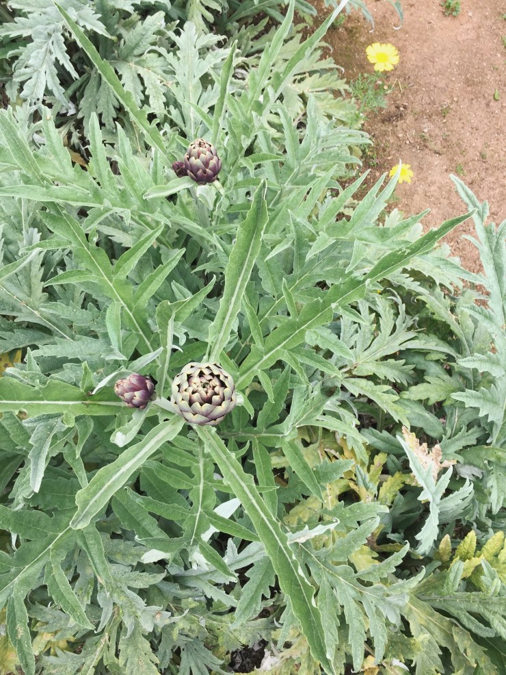 Processed with VSCO with a7 preset