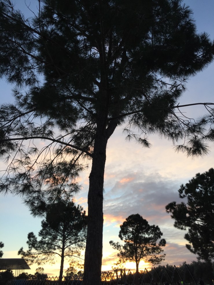 D2D52A1-785C-46A7-9627-13A2CFD30772