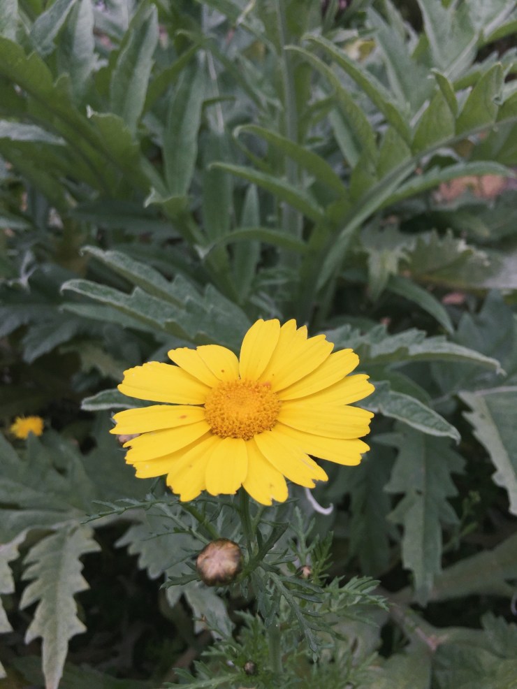 Processed with VSCO with a7 preset