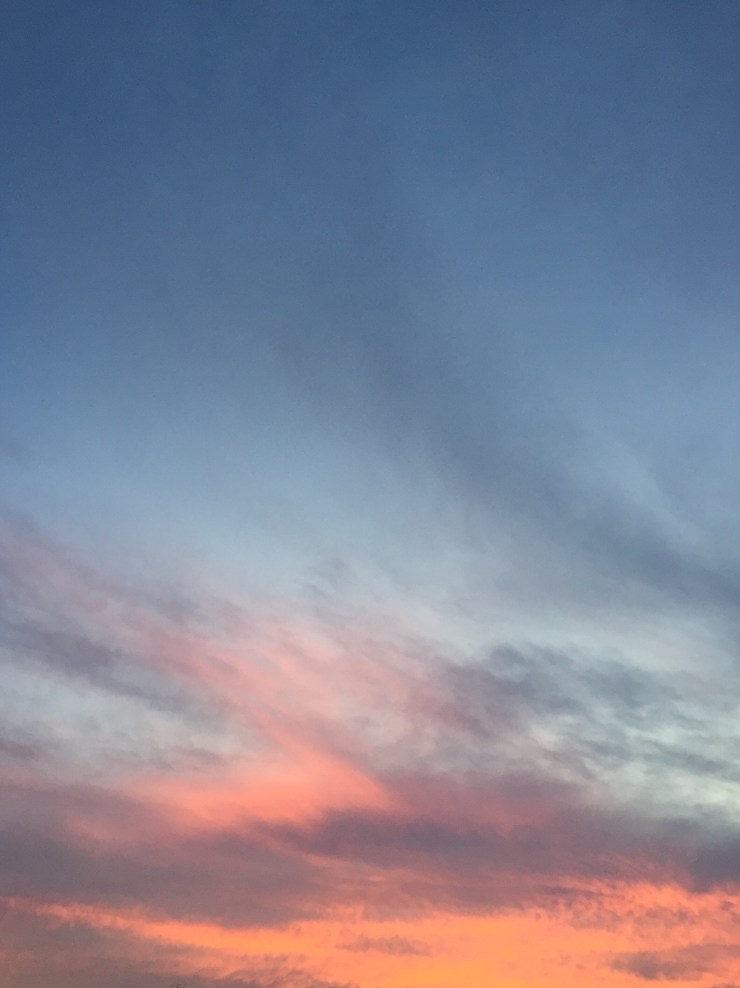 3017B682-0A7D-4E57-A50C-8094971ADA0C