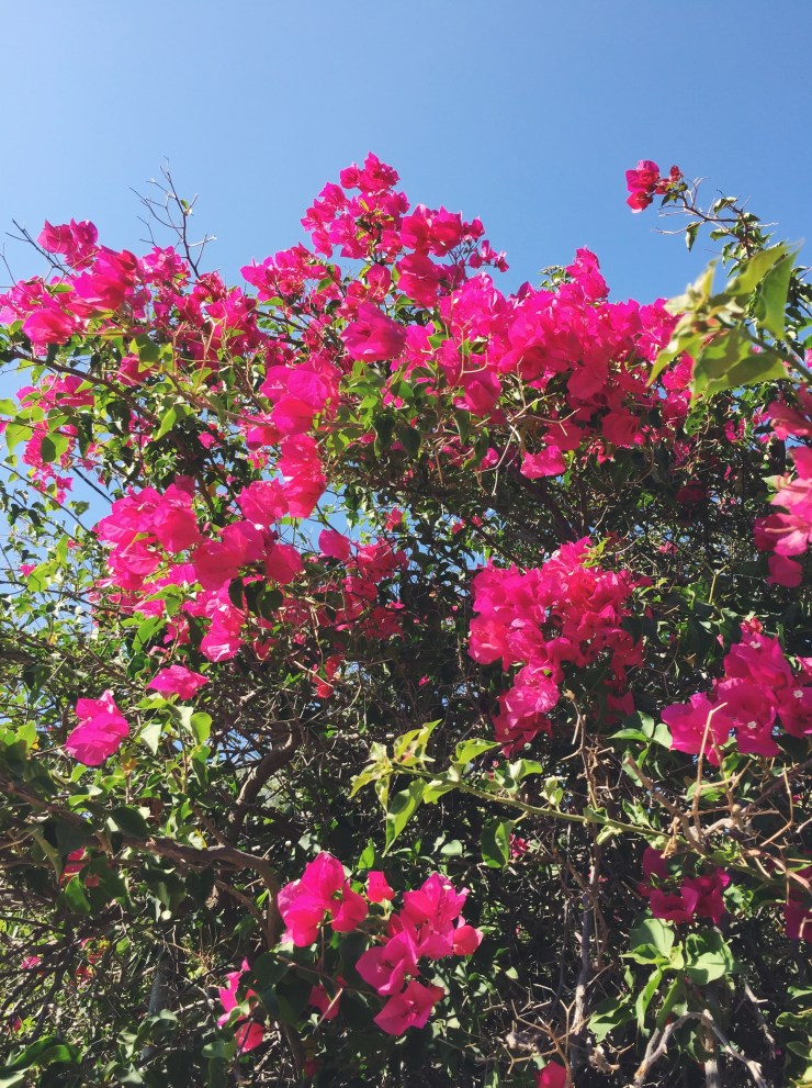 Processed with VSCO with f2 preset