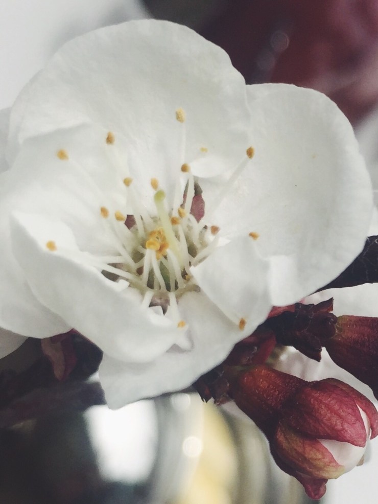 Processed with VSCO with f2 preset