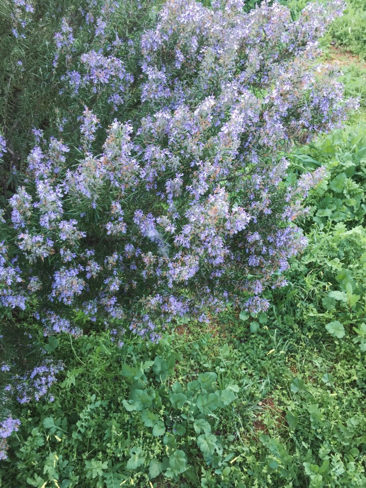 Processed with VSCO with a8 preset