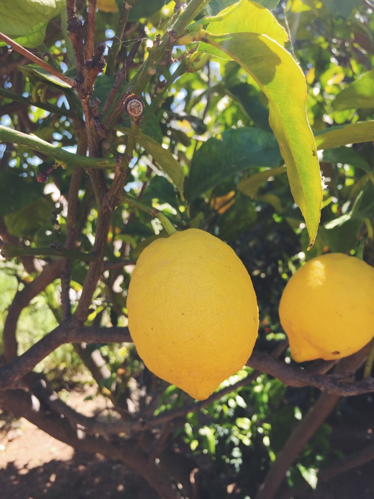 Processed with VSCO with f2 preset