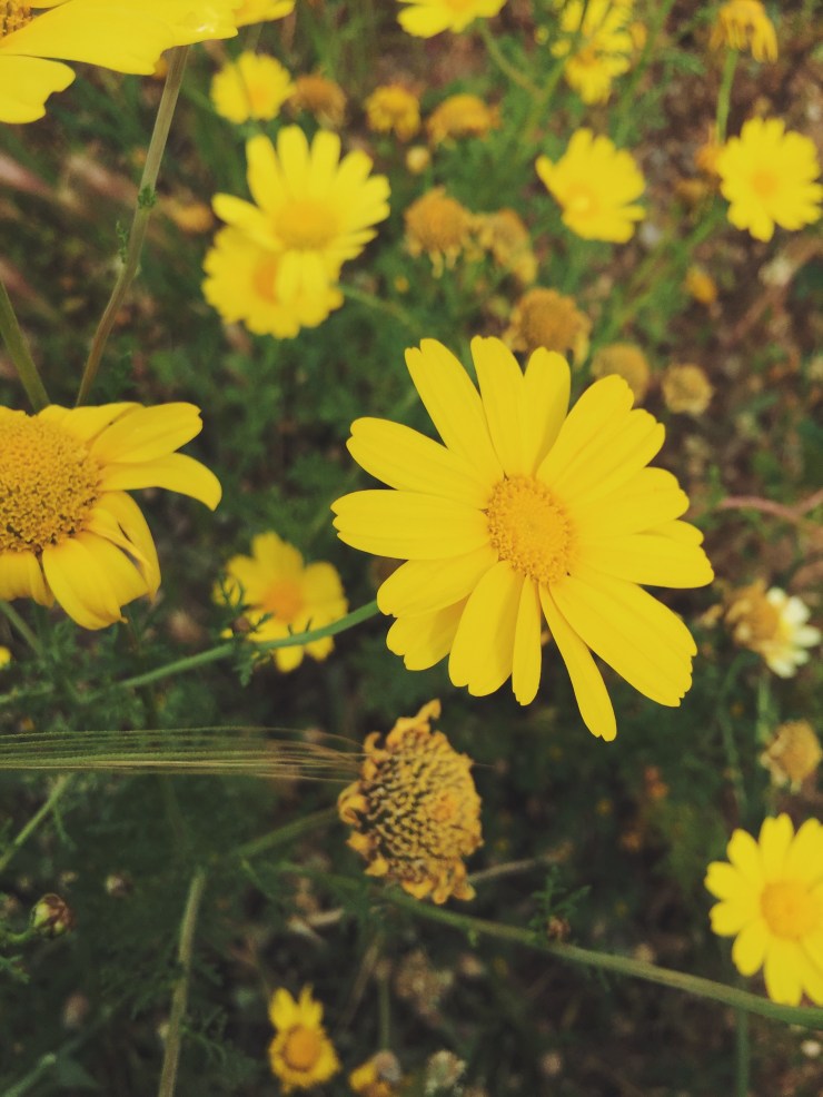 Processed with VSCO with f2 preset