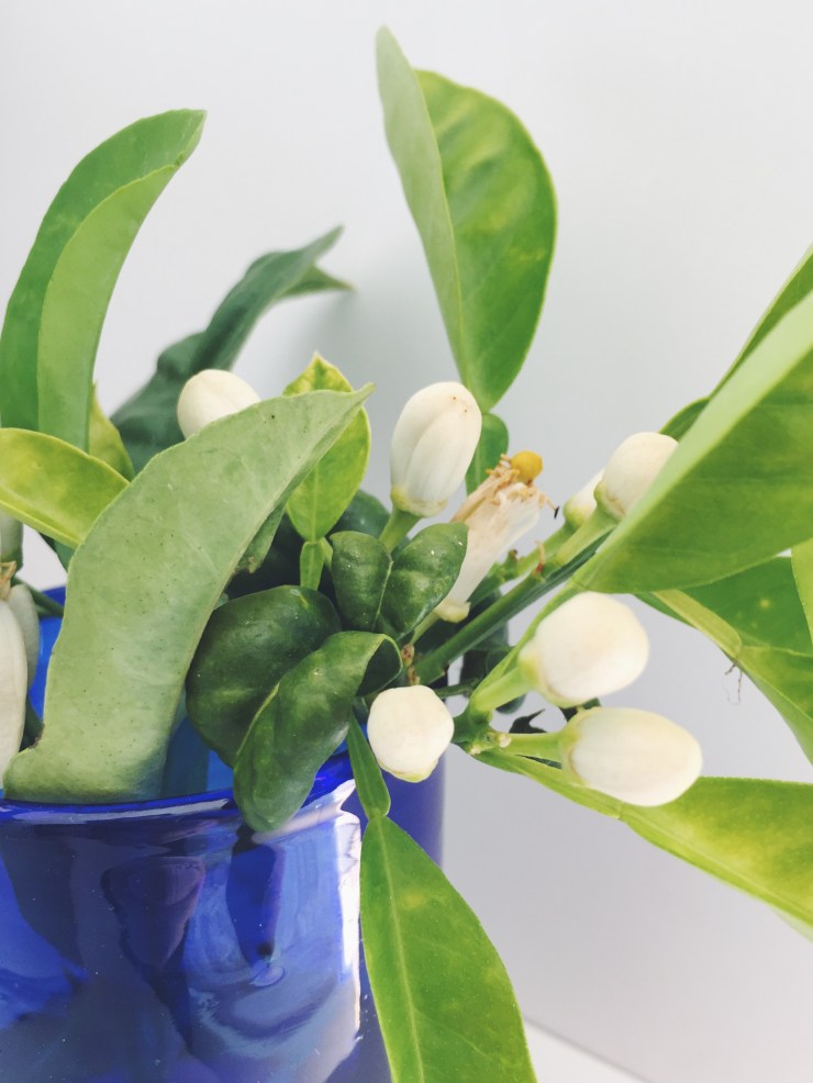 Processed with VSCO with f2 preset