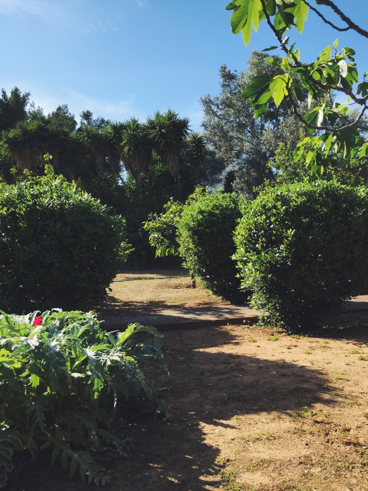 Processed with VSCO with f2 preset