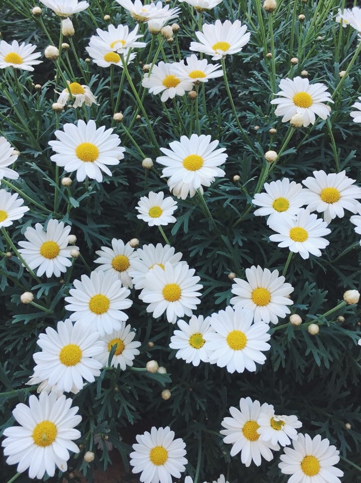 Processed with VSCO with f2 preset