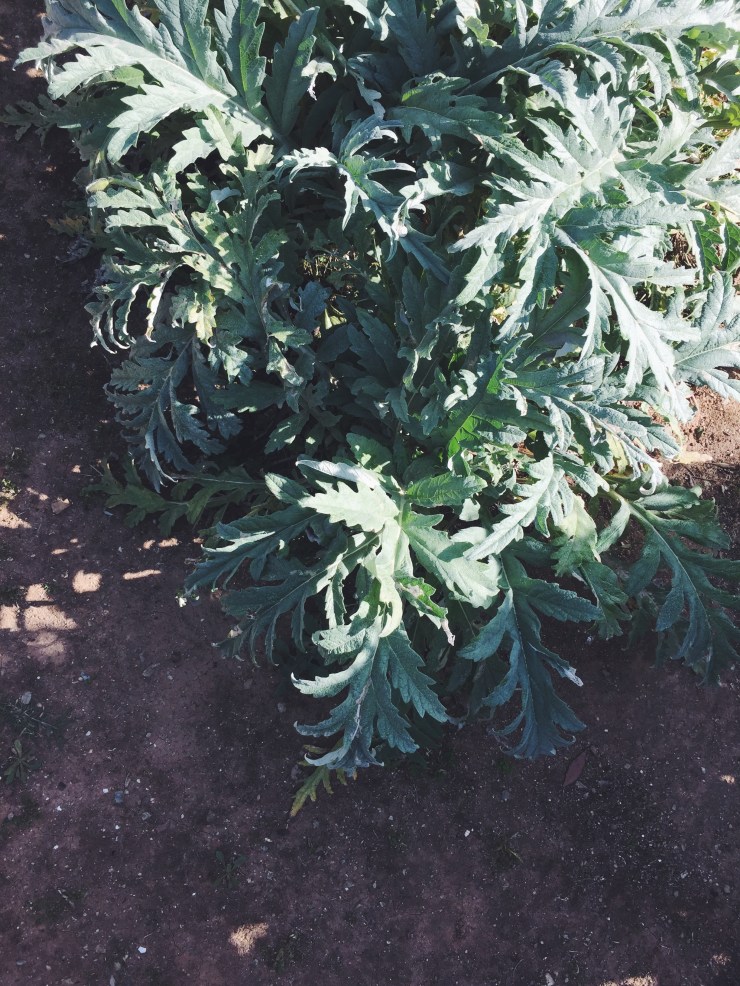 Processed with VSCO with f2 preset