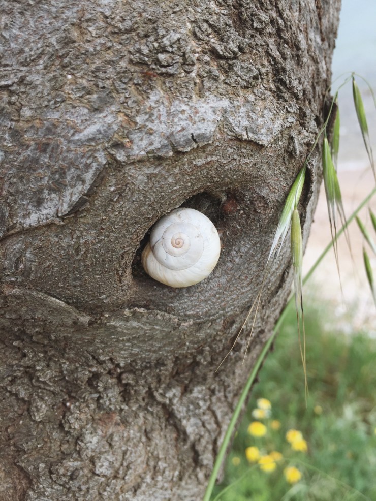 Processed with VSCO with a10 preset