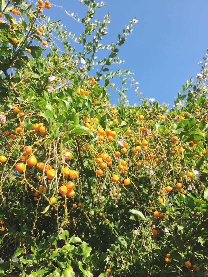 Processed with VSCO with f2 preset