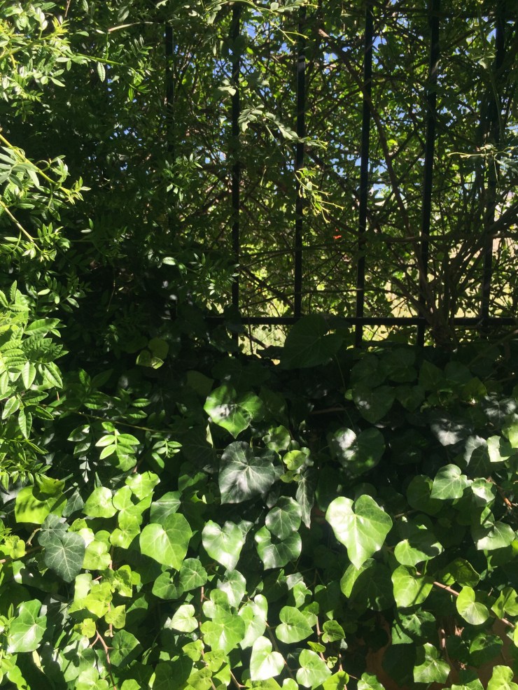 Processed with VSCO with f2 preset