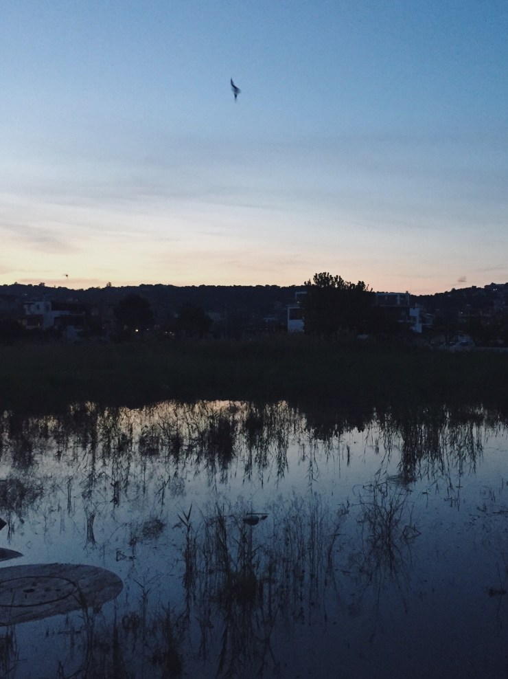 Processed with VSCO with f2 preset