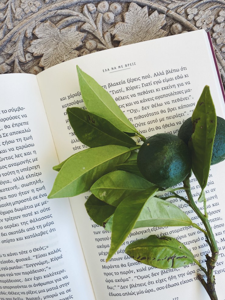 Processed with VSCO with f2 preset