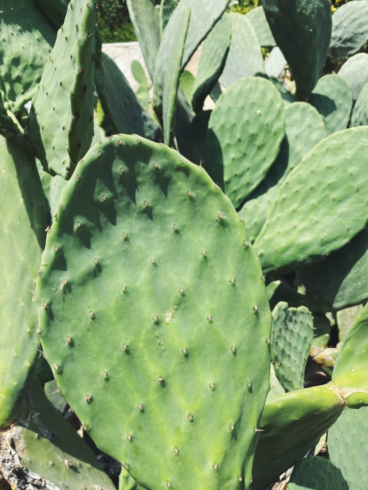 Processed with VSCO with f2 preset