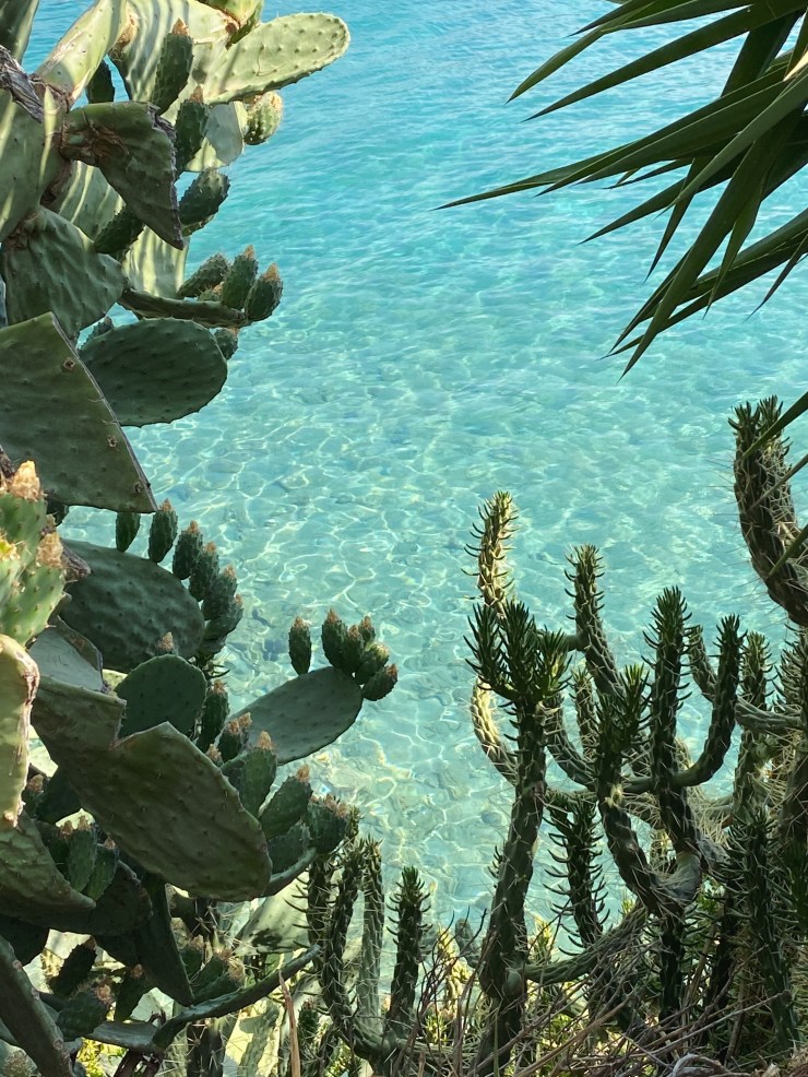 Processed with VSCO with f2 preset