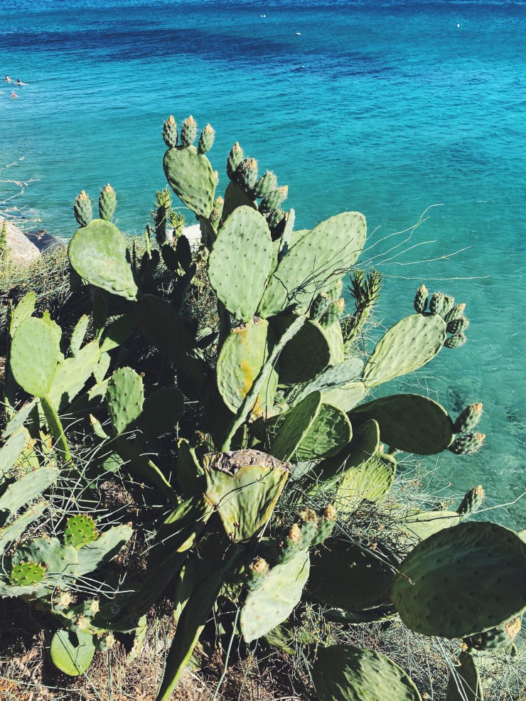 Processed with VSCO with f2 preset