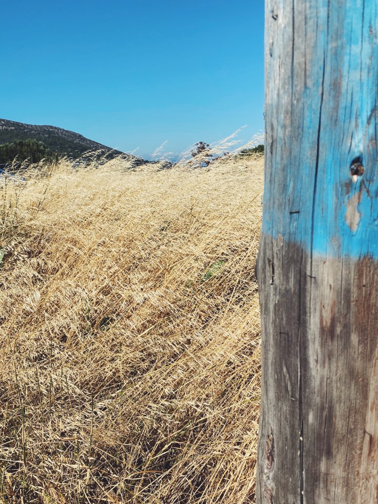 Processed with VSCO with f2 preset