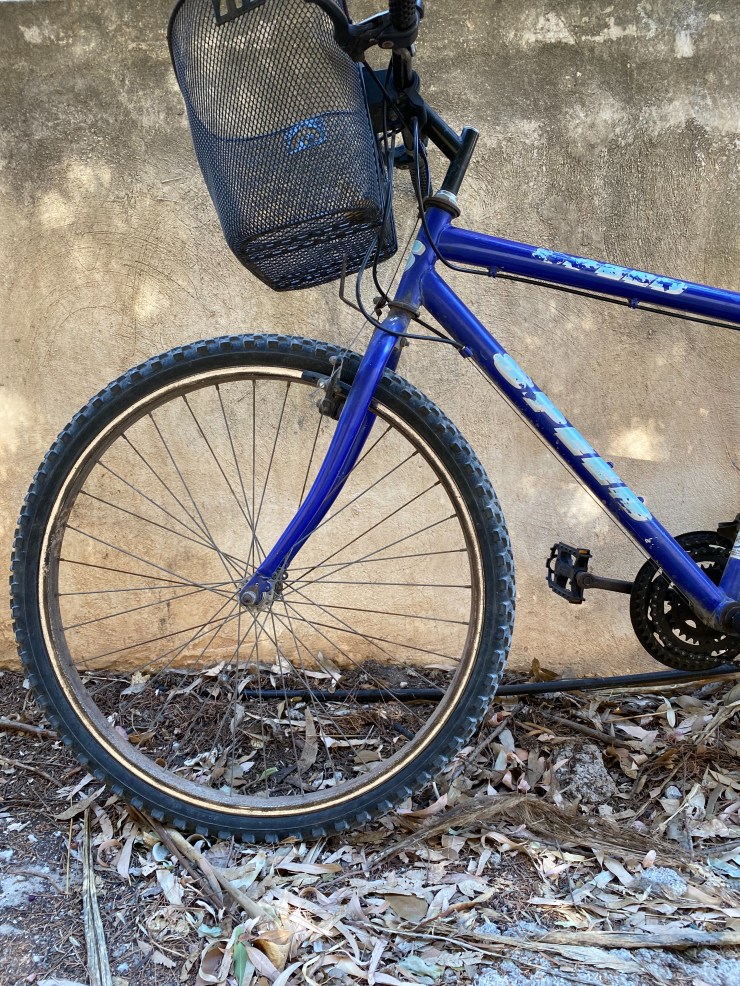 16D82825-0BC6-49D6-8D14-E31C45CA2BC7