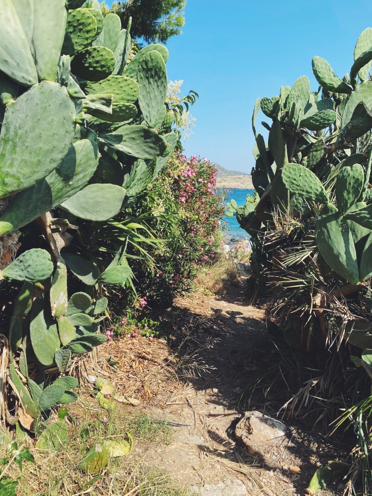 Processed with VSCO with f2 preset