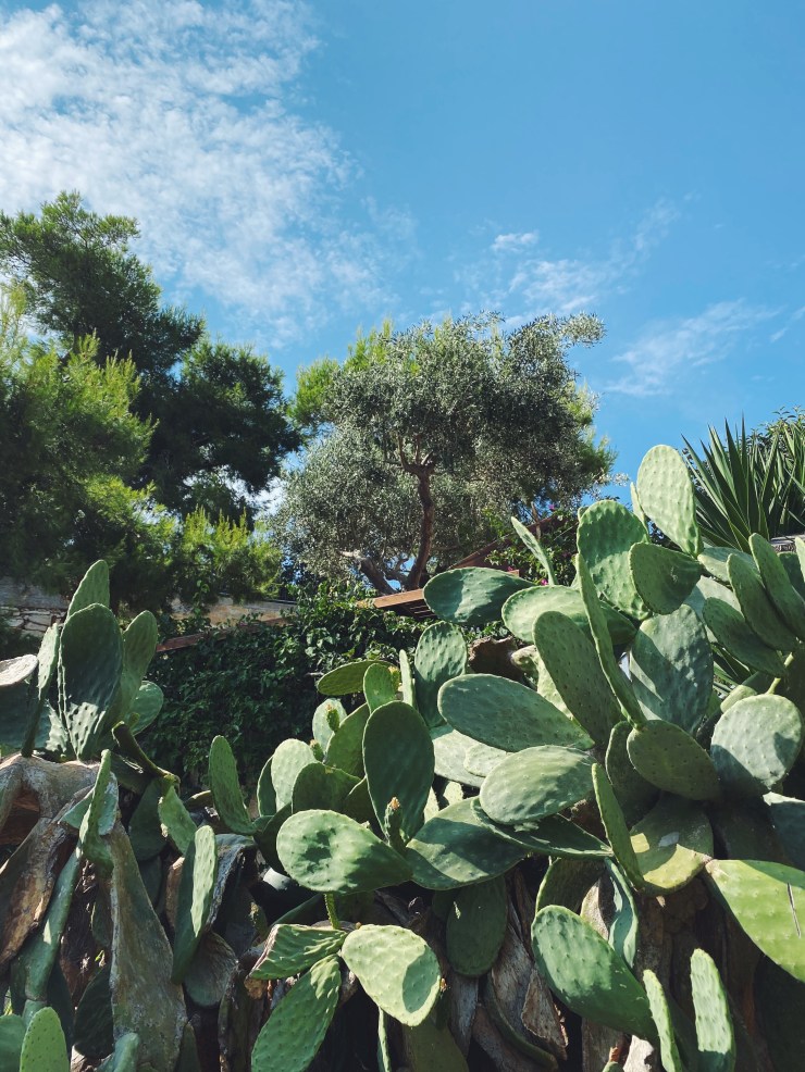 Processed with VSCO with f2 preset