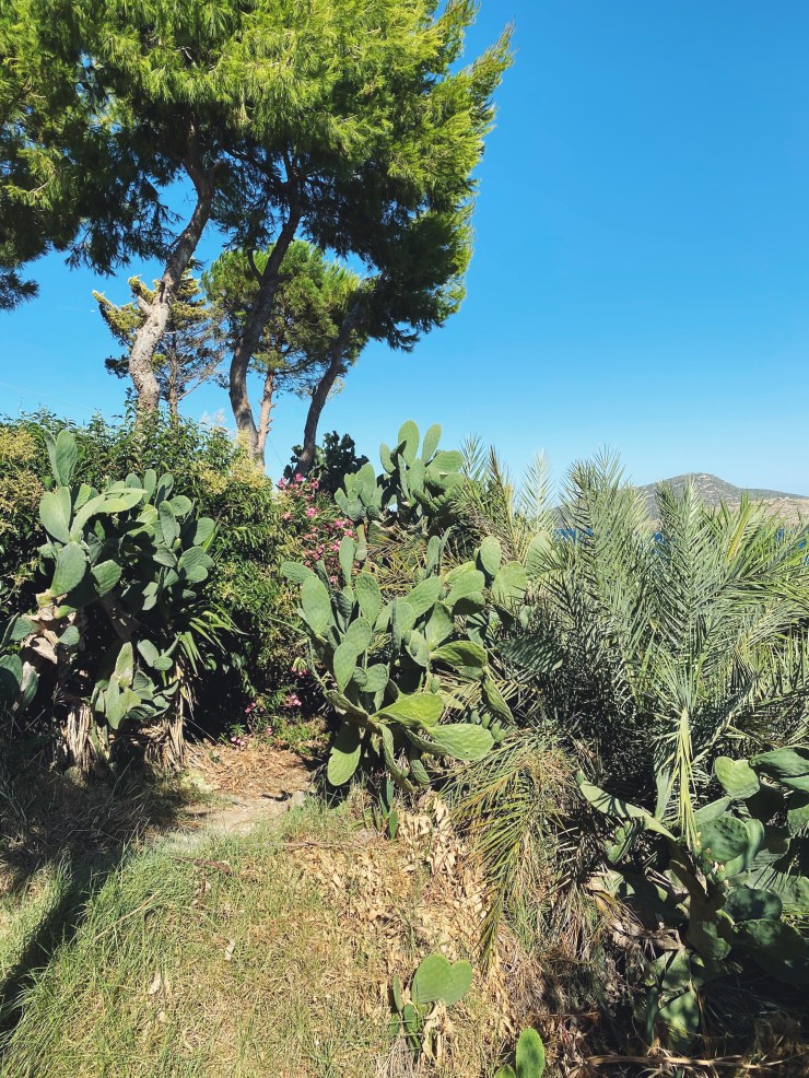 Processed with VSCO with f2 preset