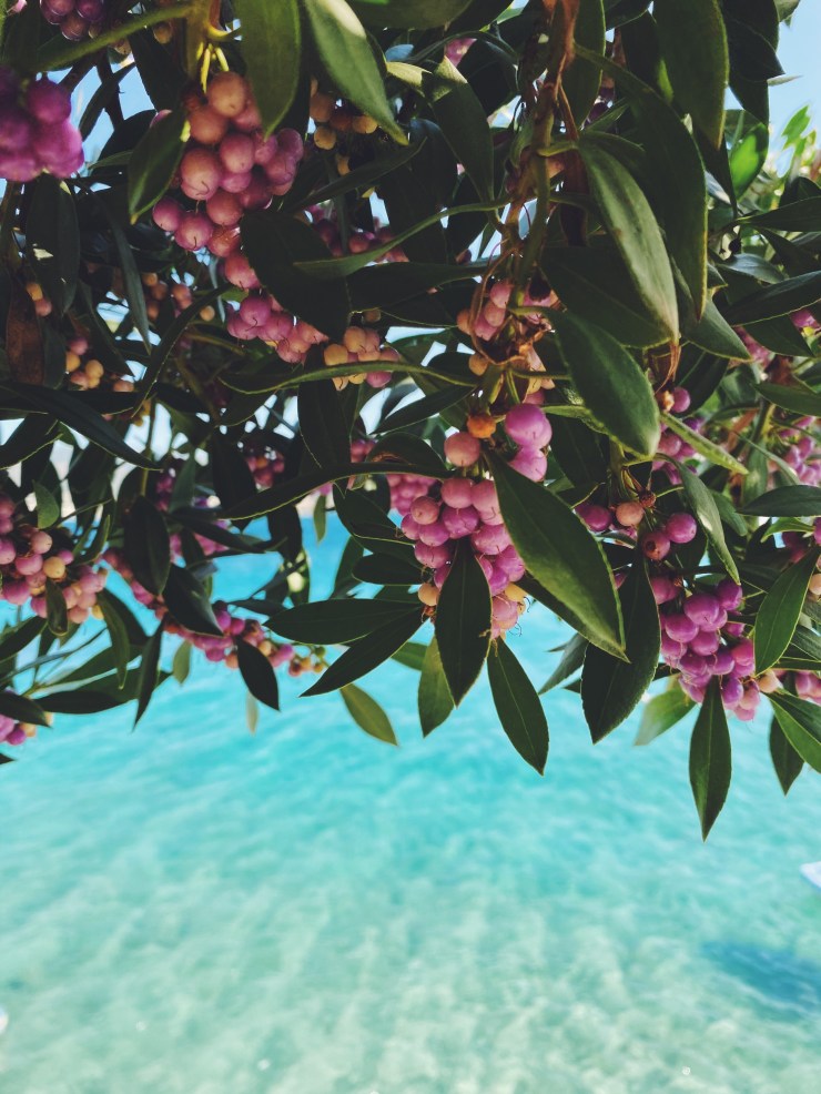 Processed with VSCO with f2 preset